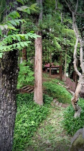 Walk in Iiyama Pt1 4