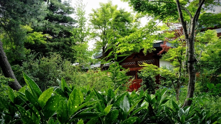 Walk in Iiyama Pt1 8
