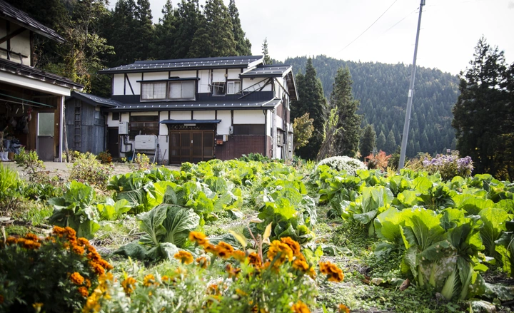 Iiyama area 1