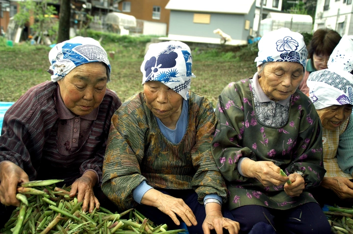 rural Japan 13
