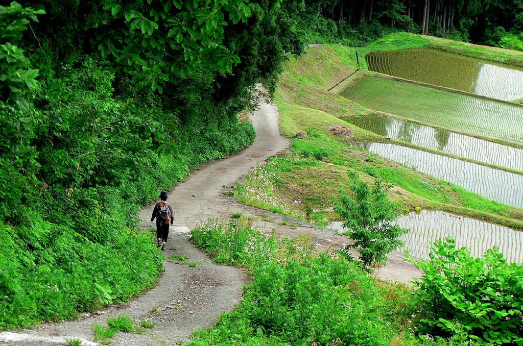 rural Japan 22