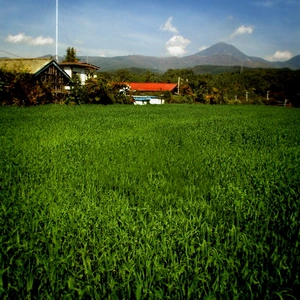 Rural Japan Break