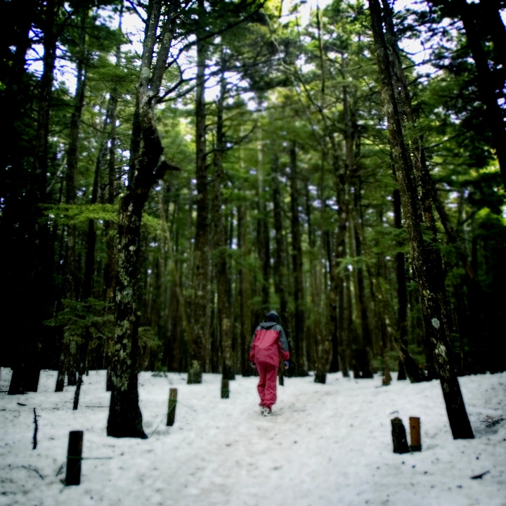 Nagano Early Trip 4