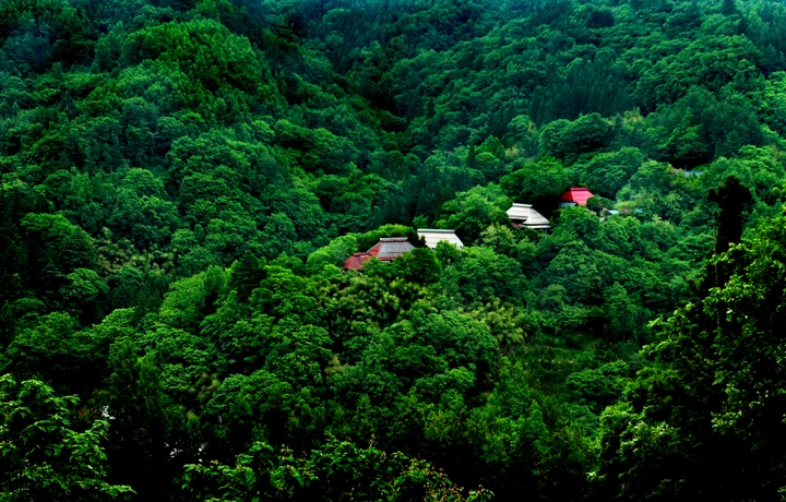 green scenes 3