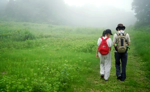 Hiking in Nozawa