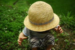 Summer Rice in The Background
