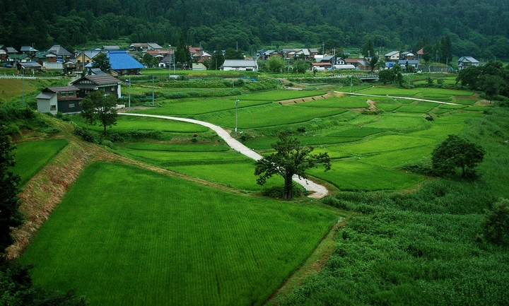Countryside after quake 1